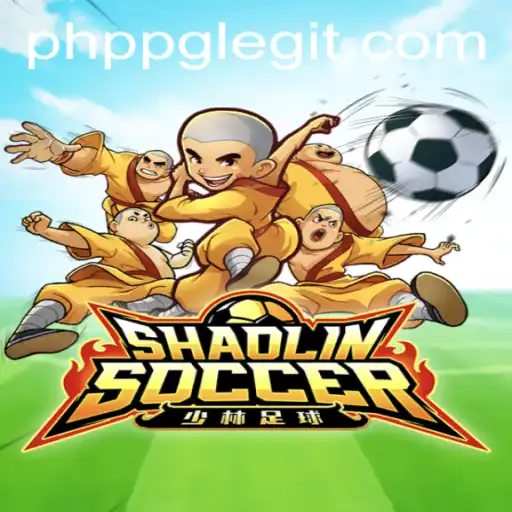 ShaolinSoccer: Merging Martial Arts with the Football Fraternity